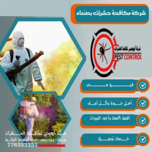 شركة ابو يحيى لمكافحة بق الفراش والصراصير في صنعاء
