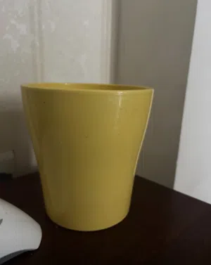 Ceramic pot plant