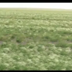 خالد المهري