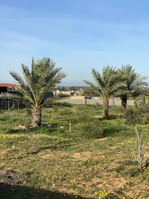 حوازة للبيع