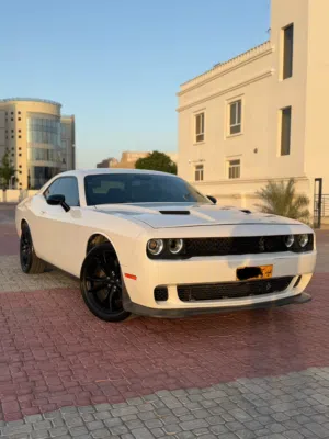 Used Dodge Challenger in Muscat