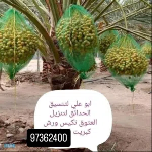 تنسيق حدائق