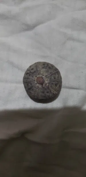 بيع عملات و مقتنيات قديمة