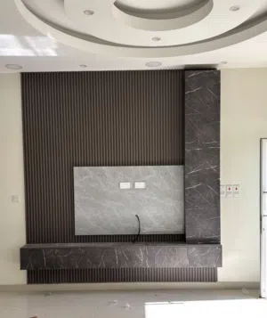 للبيع تي في يونت