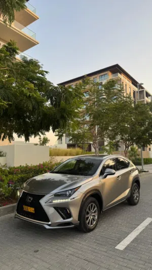 Used Lexus NX in Muscat