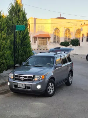 Used Ford Escape in Amman