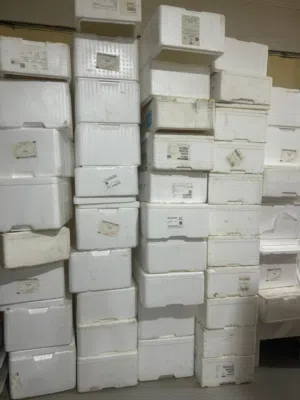 صناديق فيلين