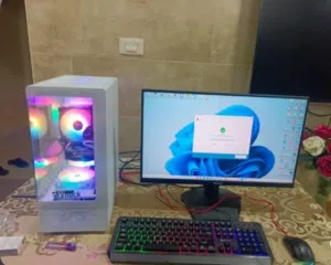 Pc gaming.