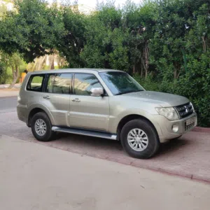 باجيرو 2014 صبغ الوكاله