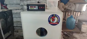 ‏اخرى ‏.‏ أخرى ‏.‏ مستعمل‏0