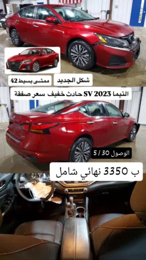 فرصة للتجار والي حاب يستخدم التيما 2023