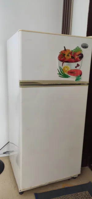 ثلاجة فيشر اليابانية