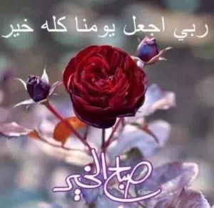 khaled