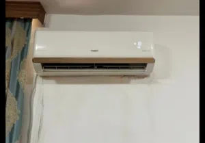 سبلت توسوت طن بلادي