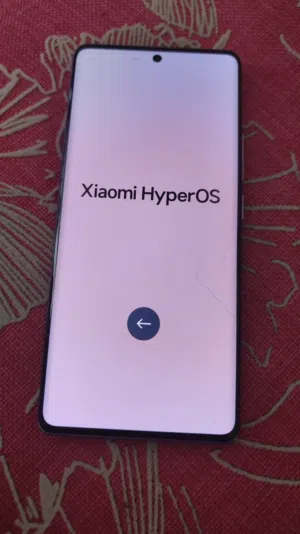 Xiaomi 14 Pro 512 GB in Cairo