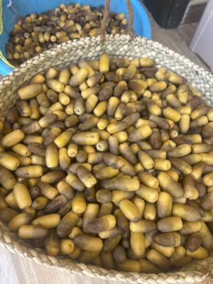رطب نغال نظيف