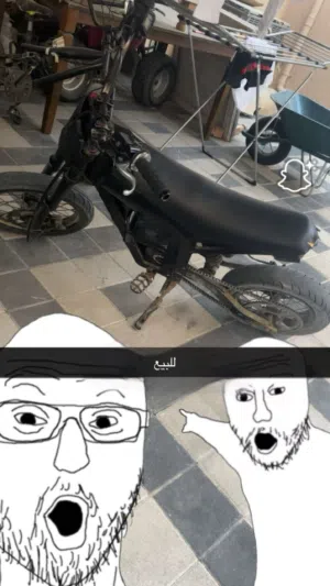 كوقو للبيع
