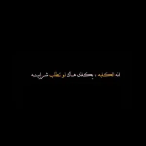 أبو نشمي 