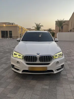 2014 Bmw X5 XDrive50i Mineral white on Mocha