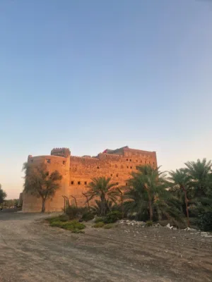 مترجم لغه إيطاليا أبحث عن عمل في مجال سياحي