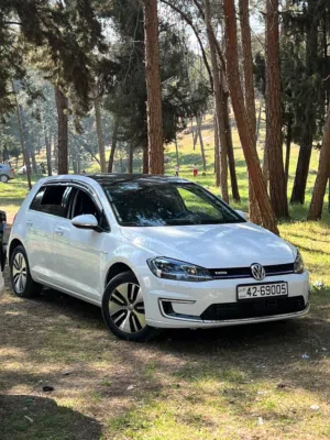 E-GOLF FOR SALE