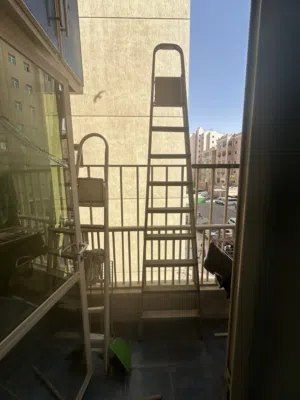 Big ladder