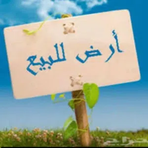ارض للبيع قطعتين