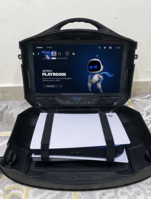 Ps5 and ps4 monitor gaming