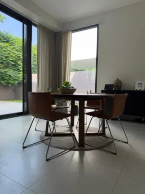 dining chair &table