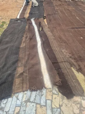 بيت شعر صوف غنم كثير ثقيل ومرتب