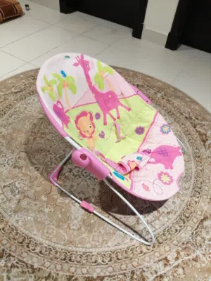 Baby Bouncer
