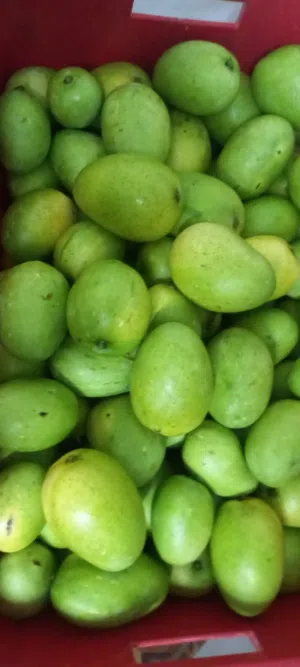 Green mango