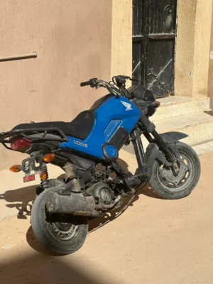 هوند نافي ربي يبارك