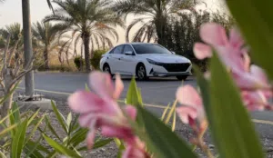 Used Hyundai Elantra in Muscat