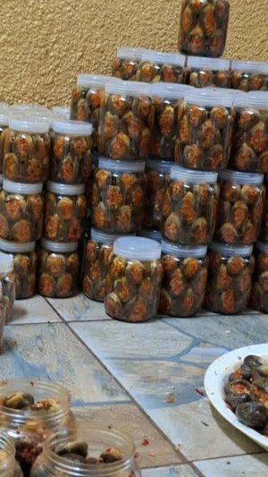 مقدوس بلدي فاخر