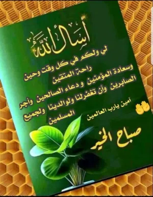 مطلوووووووووووووب شقة مفروشة او غير لحدود 250 دينار الزرقاء إربد عمان الهاشمى الشمالى البنيات طبربو.