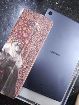 Samsung s6 lite
