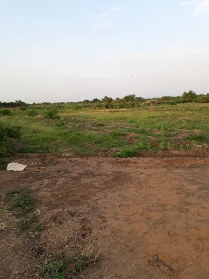 Farm . Yearly . 3 feddan0