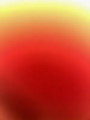مطلوب فرخ ببغاء الدره بسعر مناسب