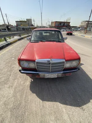 مرسدس بنز مديل1981