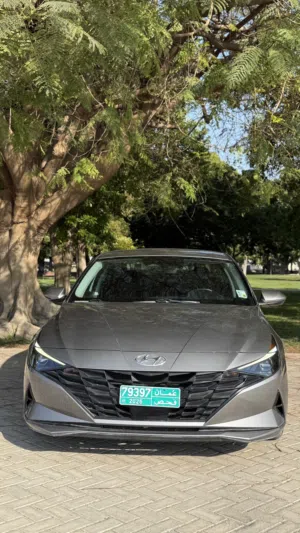Used Hyundai Elantra in Dhofar