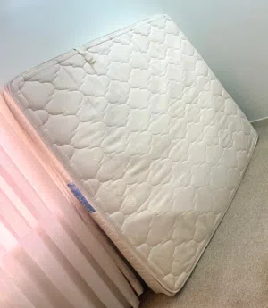 Freedom Royal king size mattress