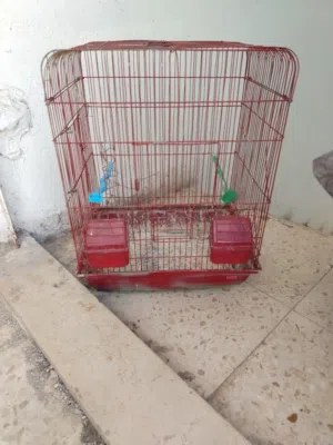 متاح قفص ثلاث معالف للبيع
