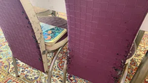 ميز و4 كراسي للبيع