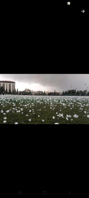 معتصم الرشدان