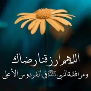 الحمدالله 