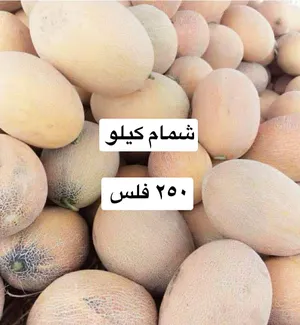 ‏خضار وفواكه‏1