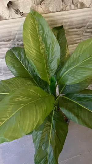 شجر اصطناعي واقي