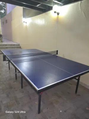 Table tennis table for sale