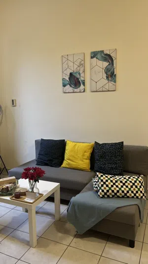 Ikea sofa bed + coffee table